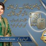 Faisalabad Electric Supply Company
