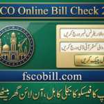 Check FESCO Bill Online